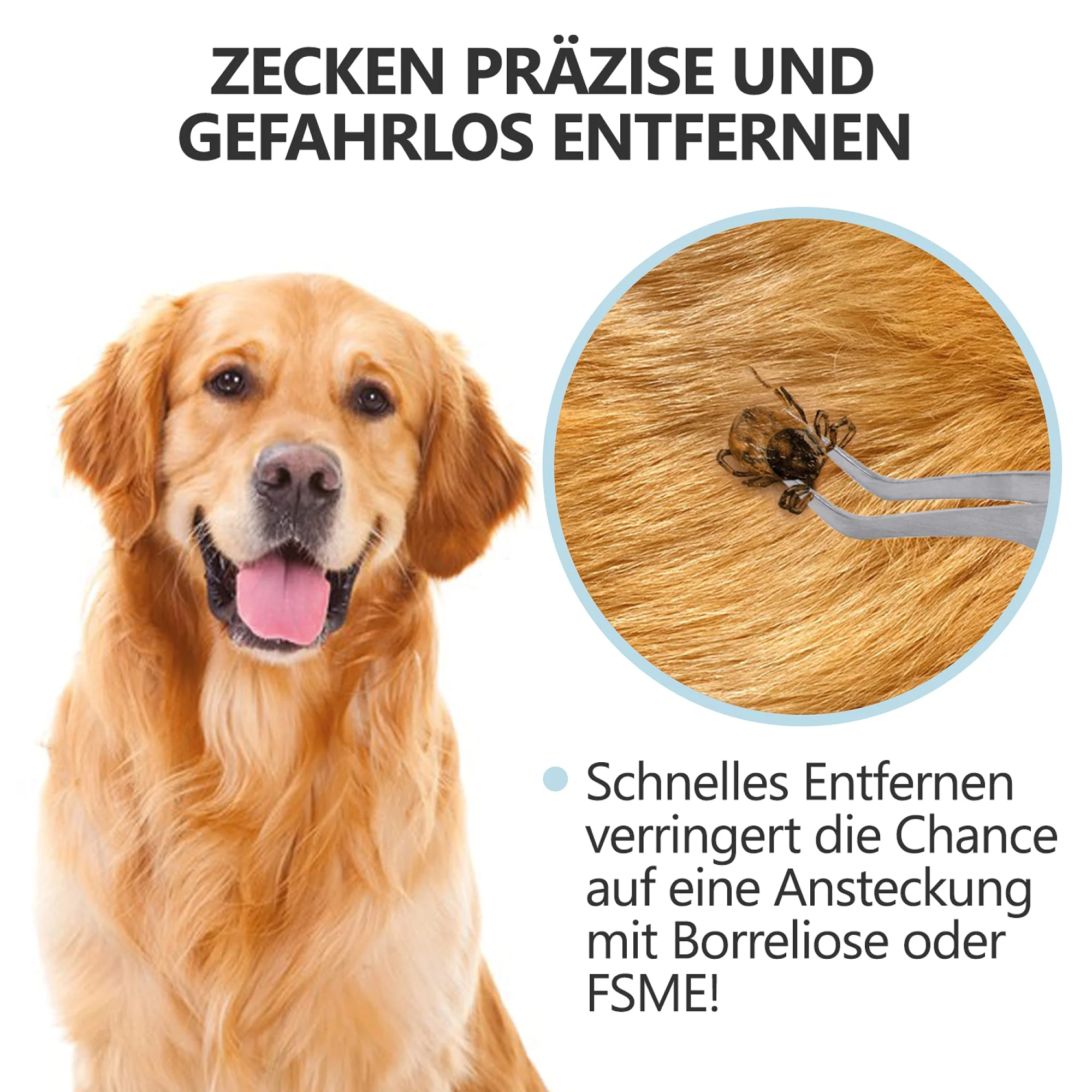 2-in-1 Profi Zeckenzange - für Hunde und Katzen - Hellblau - Image 2