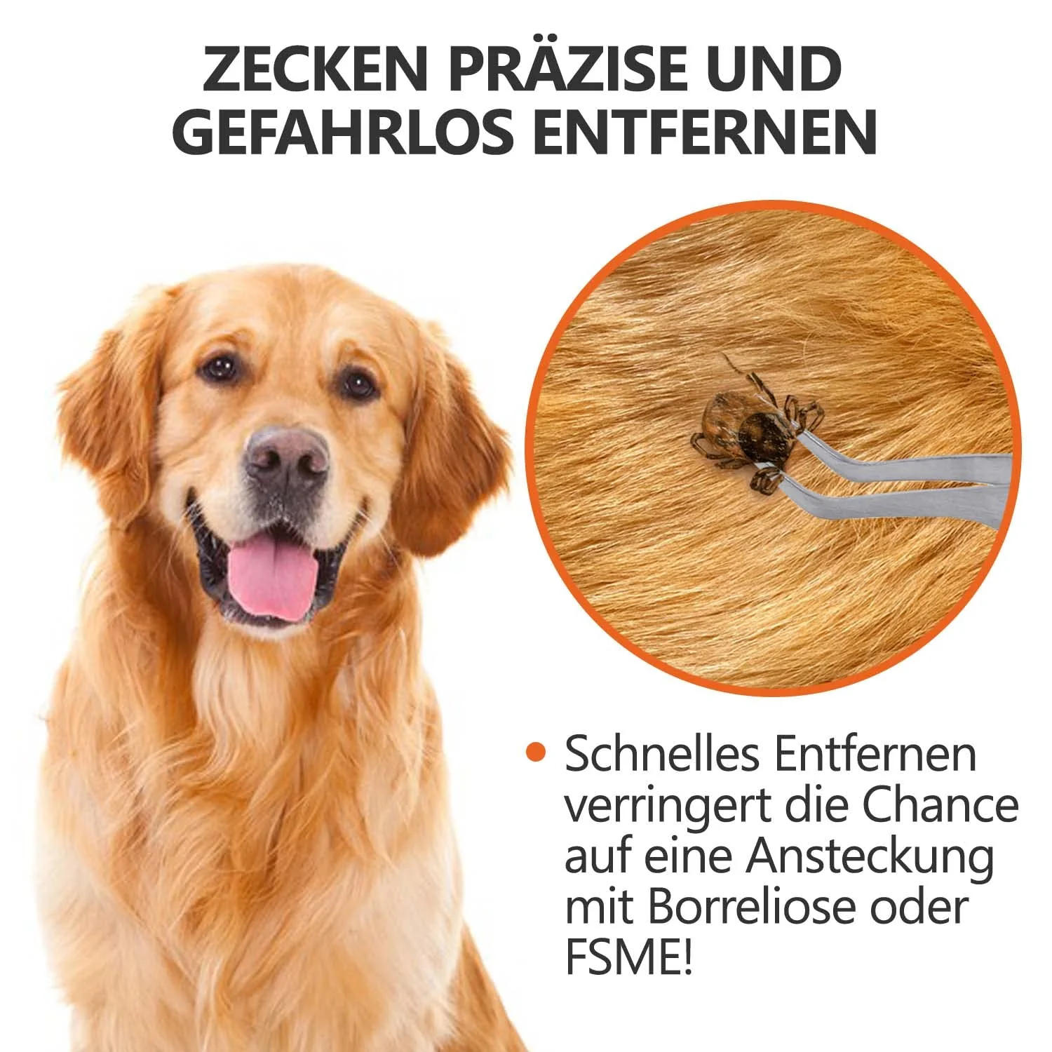 2-in-1 Profi Zeckenzange - für Hunde und Katzen - Silber - Image 2