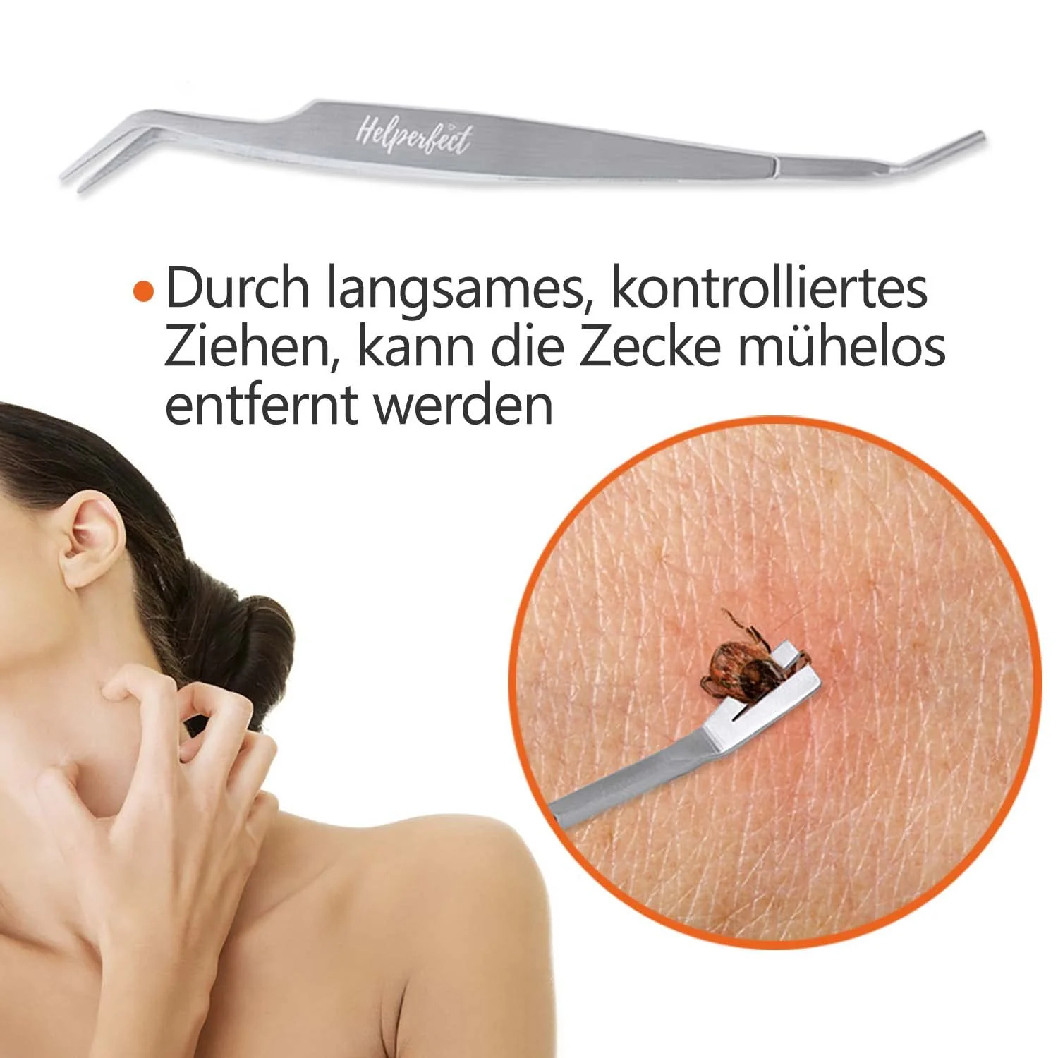 2-in-1 Profi Zeckenzange - für Hunde und Katzen - Silber - Image 3