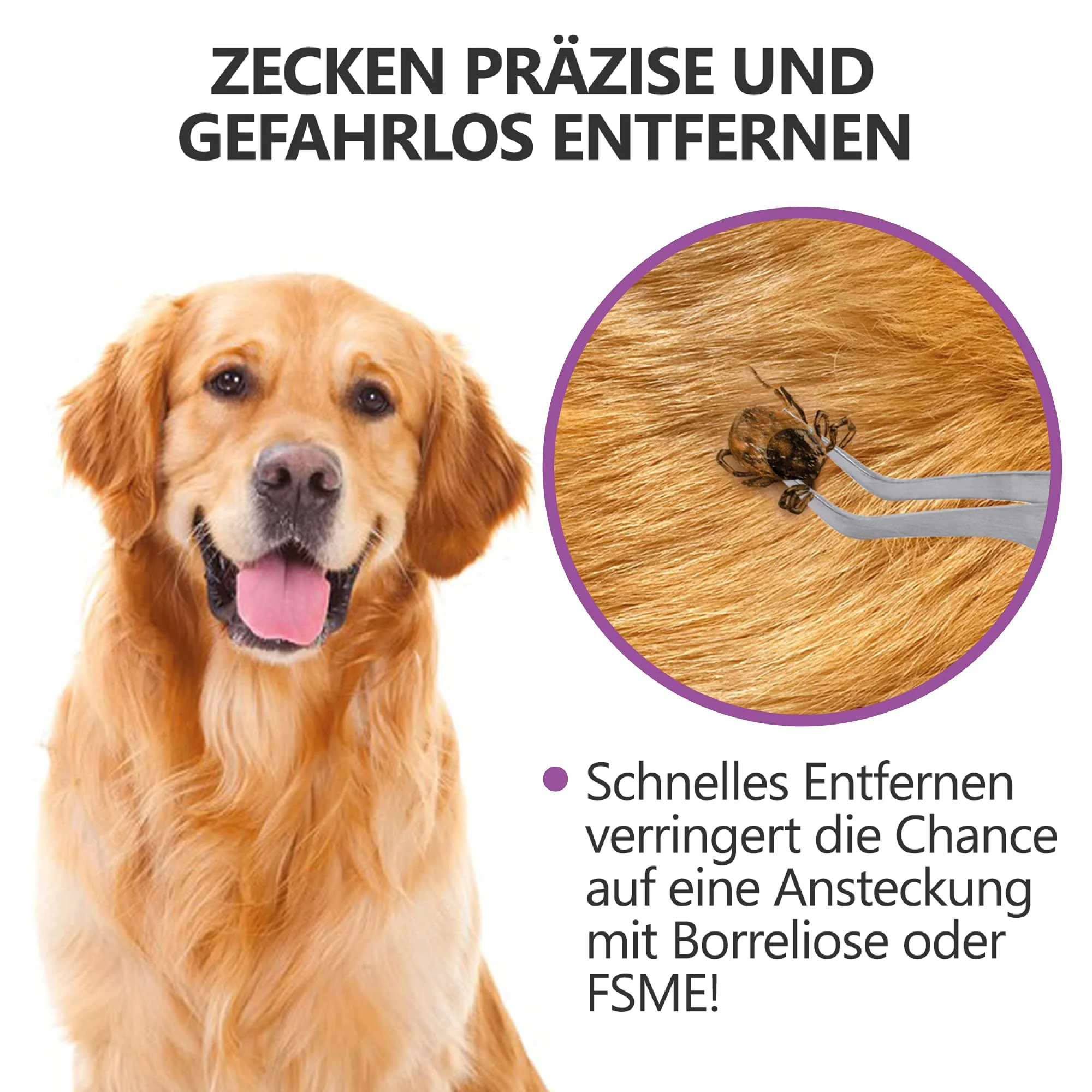 2-in-1 Profi Zeckenzange - für Hunde und Katzen - Violett - Image 2