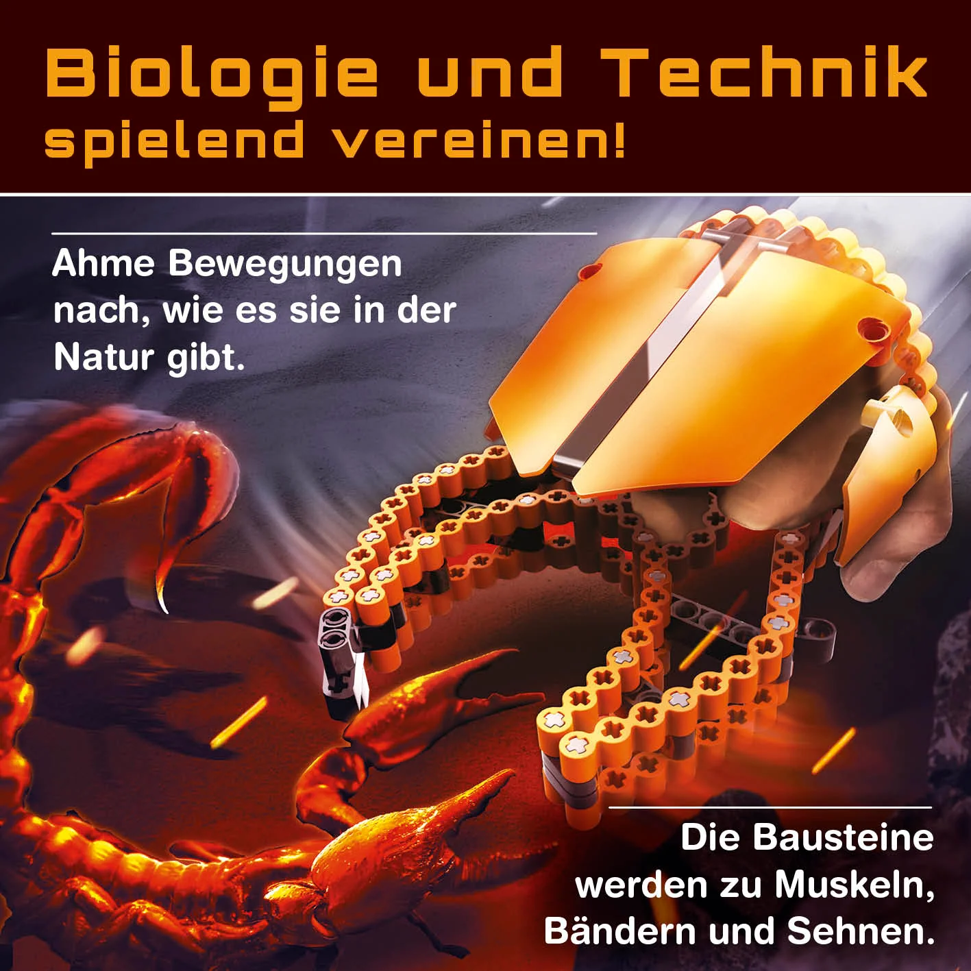 Baustein-Set Skorpion - Image 3