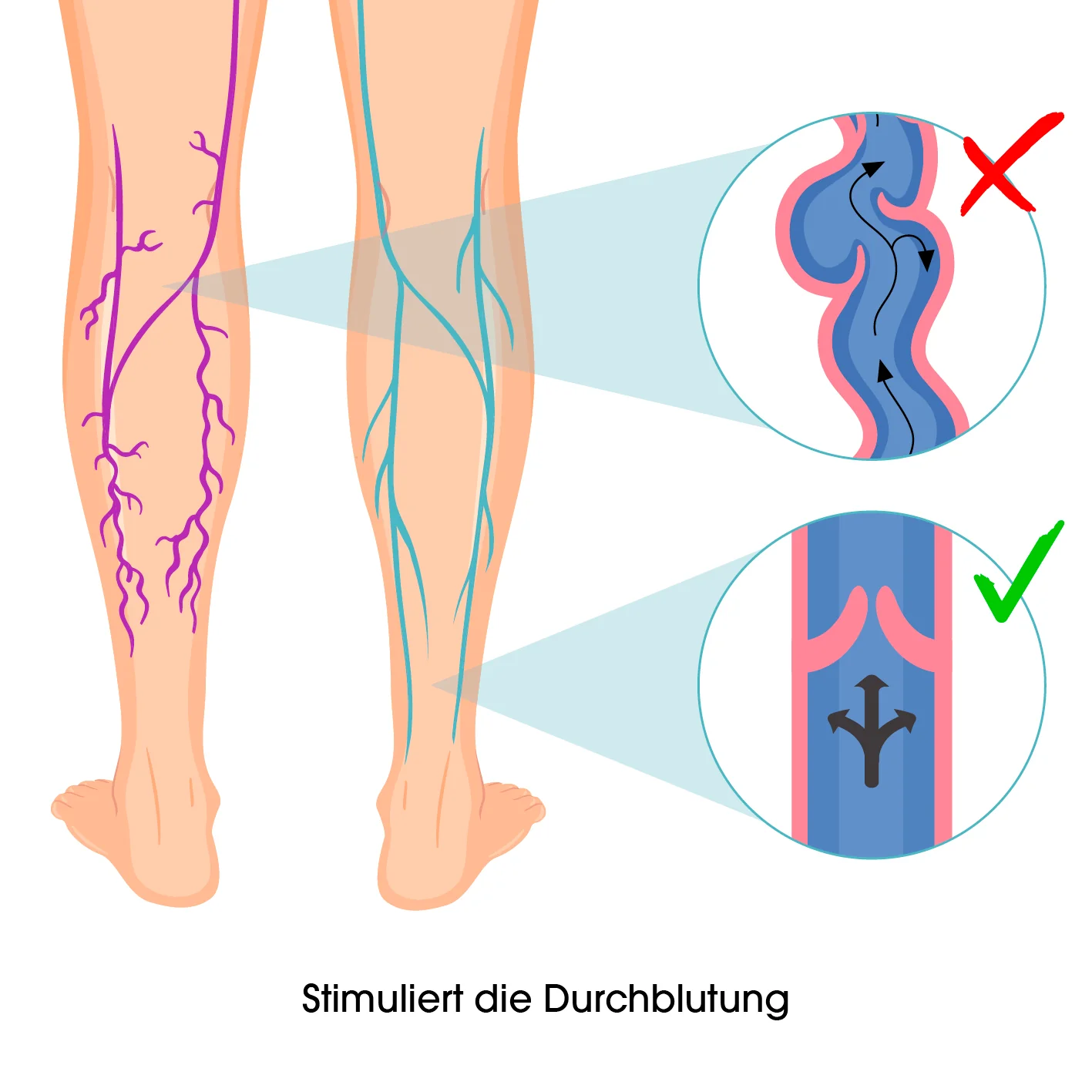 Durchblutungs-Stimulator VenenWalker - 25 Programme - Image 3