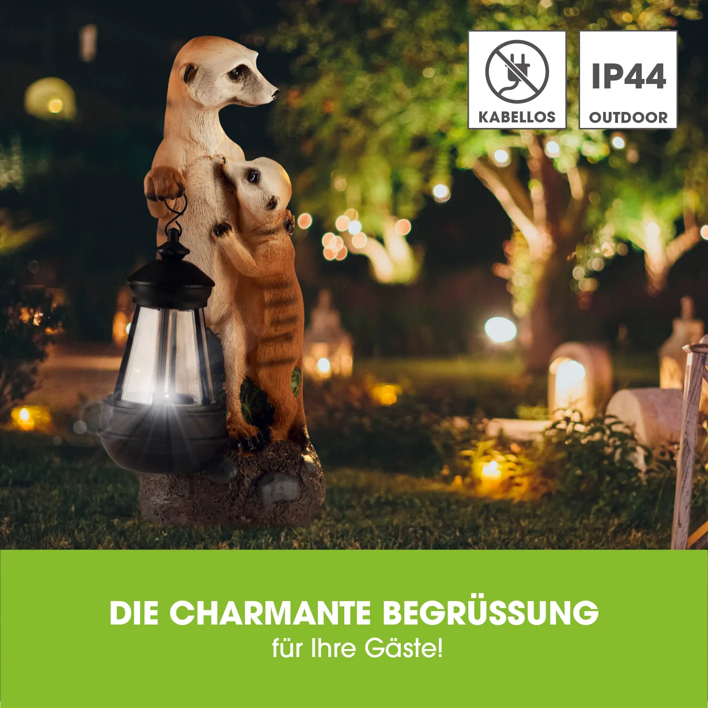 Solar-Erdmännchen-Familie - Image 2