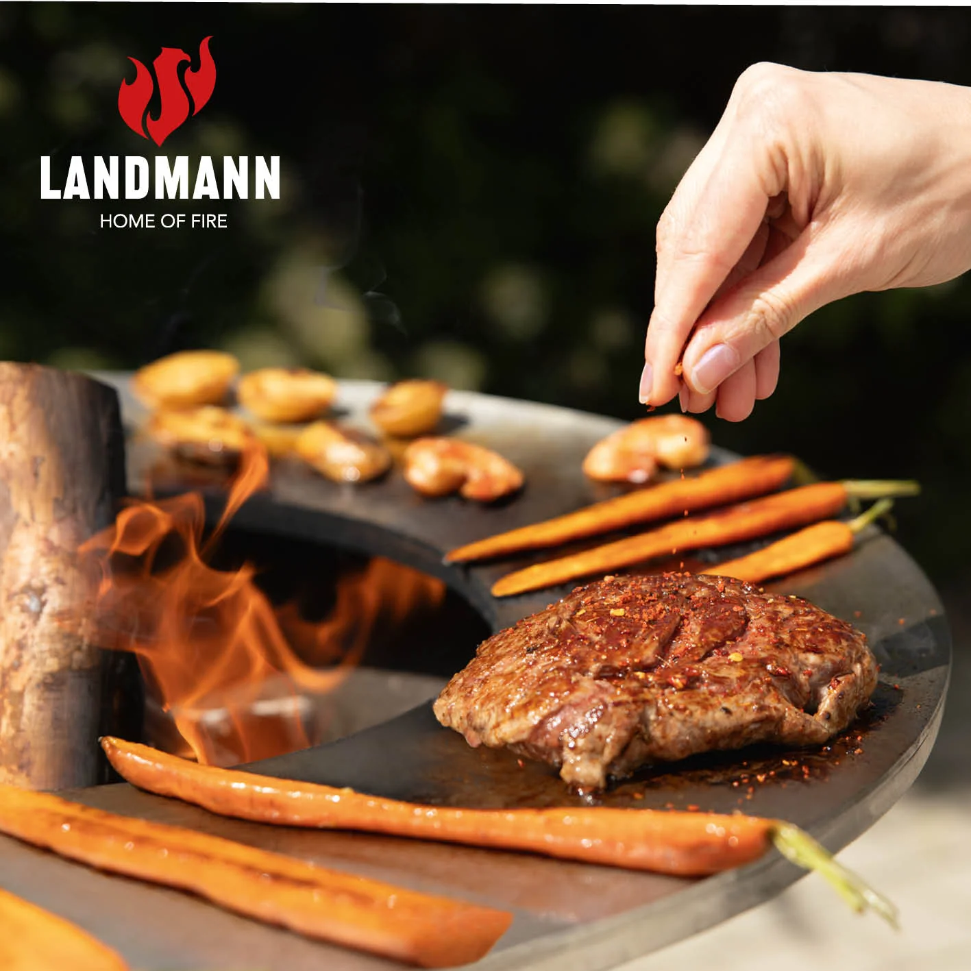 Feuerschalen-Wagen + Plancha-Grill KORREO - Ø 70 cm - Image 8