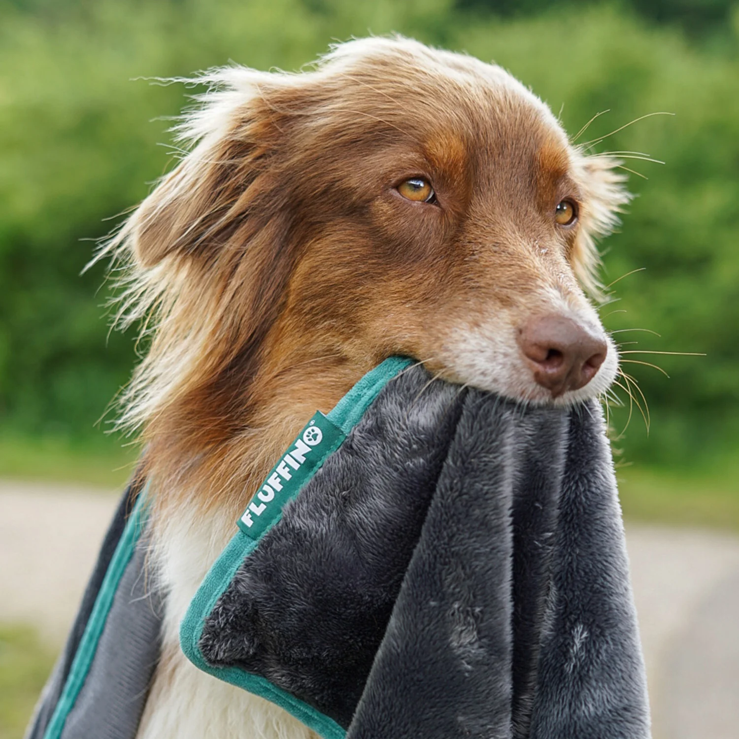 Hundedecke/ Wendedecke /Kuscheldecke - 150x100 cm - Grau - Image 11