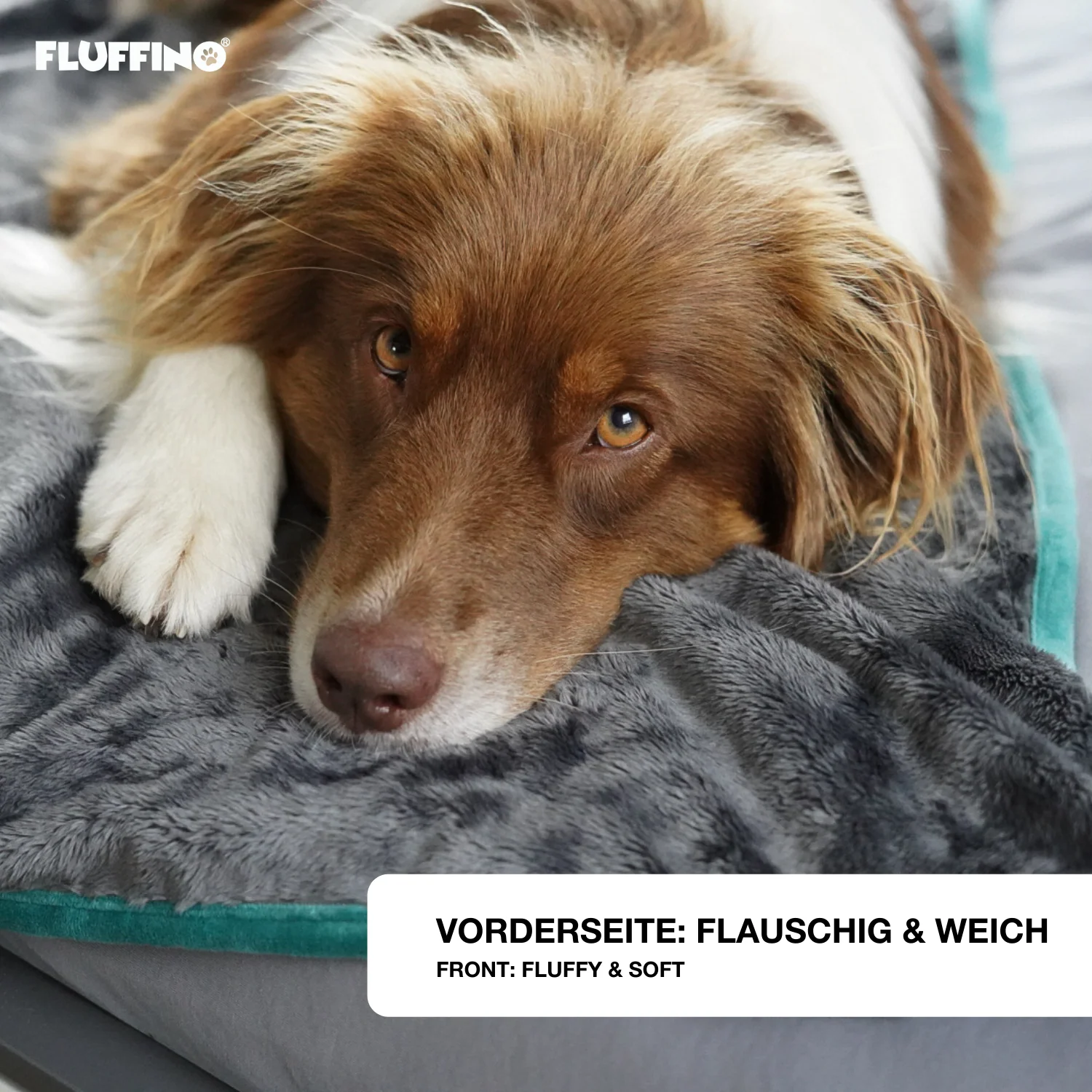 Hundedecke/ Wendedecke /Kuscheldecke - 150x100 cm - Grau - Image 2