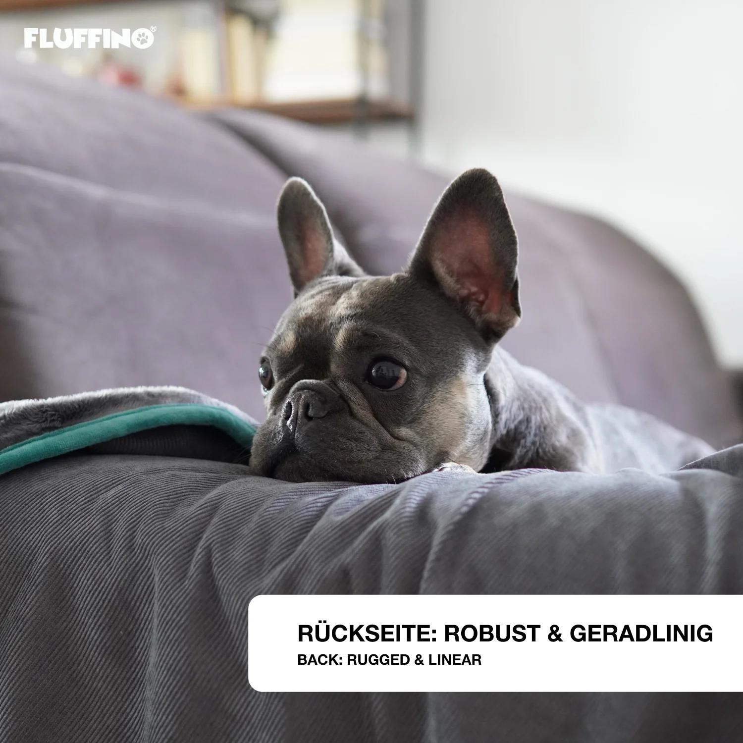Hundedecke/ Wendedecke /Kuscheldecke - 150x100 cm - Grau - Image 3