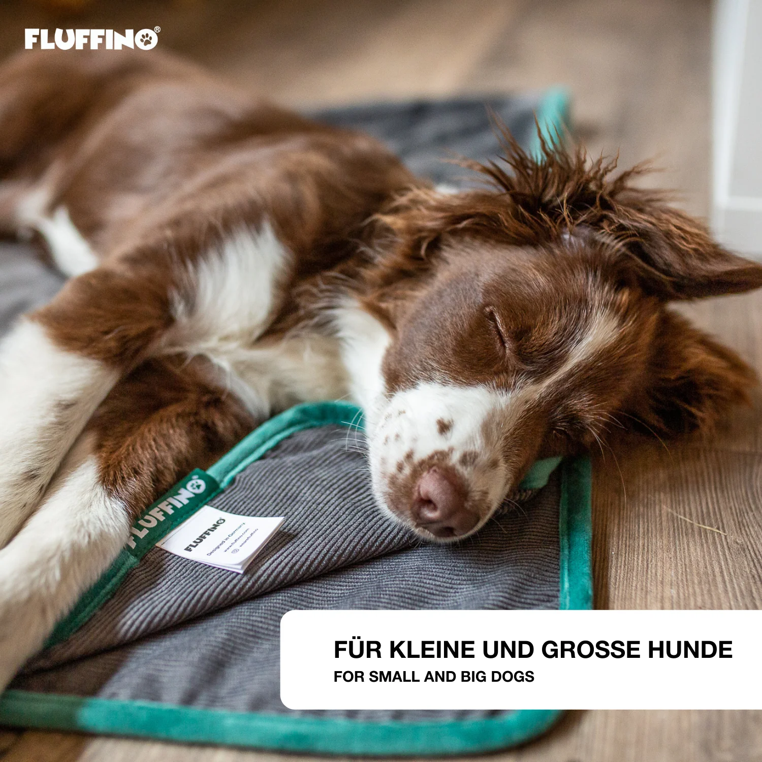 Hundedecke/ Wendedecke /Kuscheldecke - 150x100 cm - Grau - Image 4