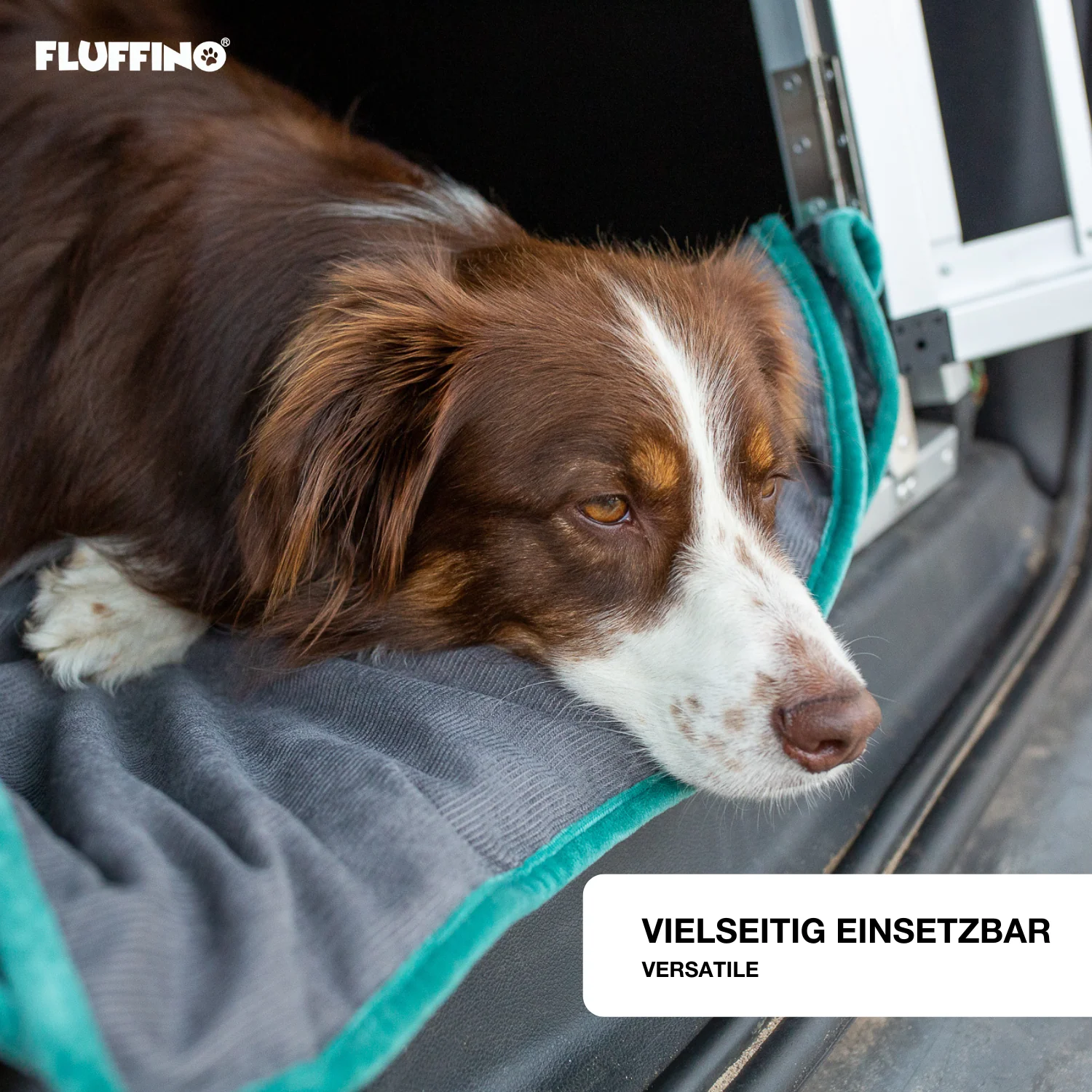 Hundedecke/ Wendedecke /Kuscheldecke - 150x100 cm - Grau - Image 5
