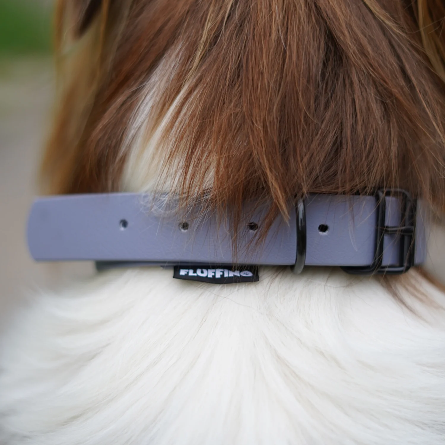 Hundehalsband aus BioThane - 5-Fach verstellbare - Größe L - Halsumfang 44 - 54 cm - Grau - Image 7