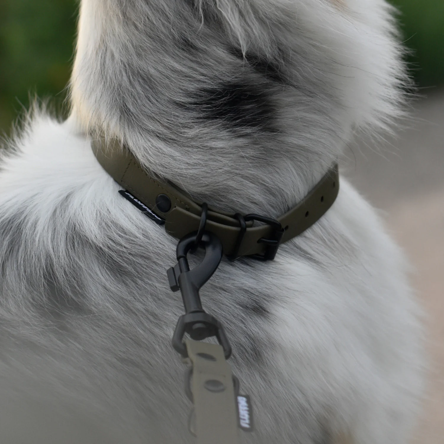 Hundehalsband aus BioThane - 5-Fach verstellbare - Größe L - Halsumfang 44 - 54 cm - Oliv - Image 8