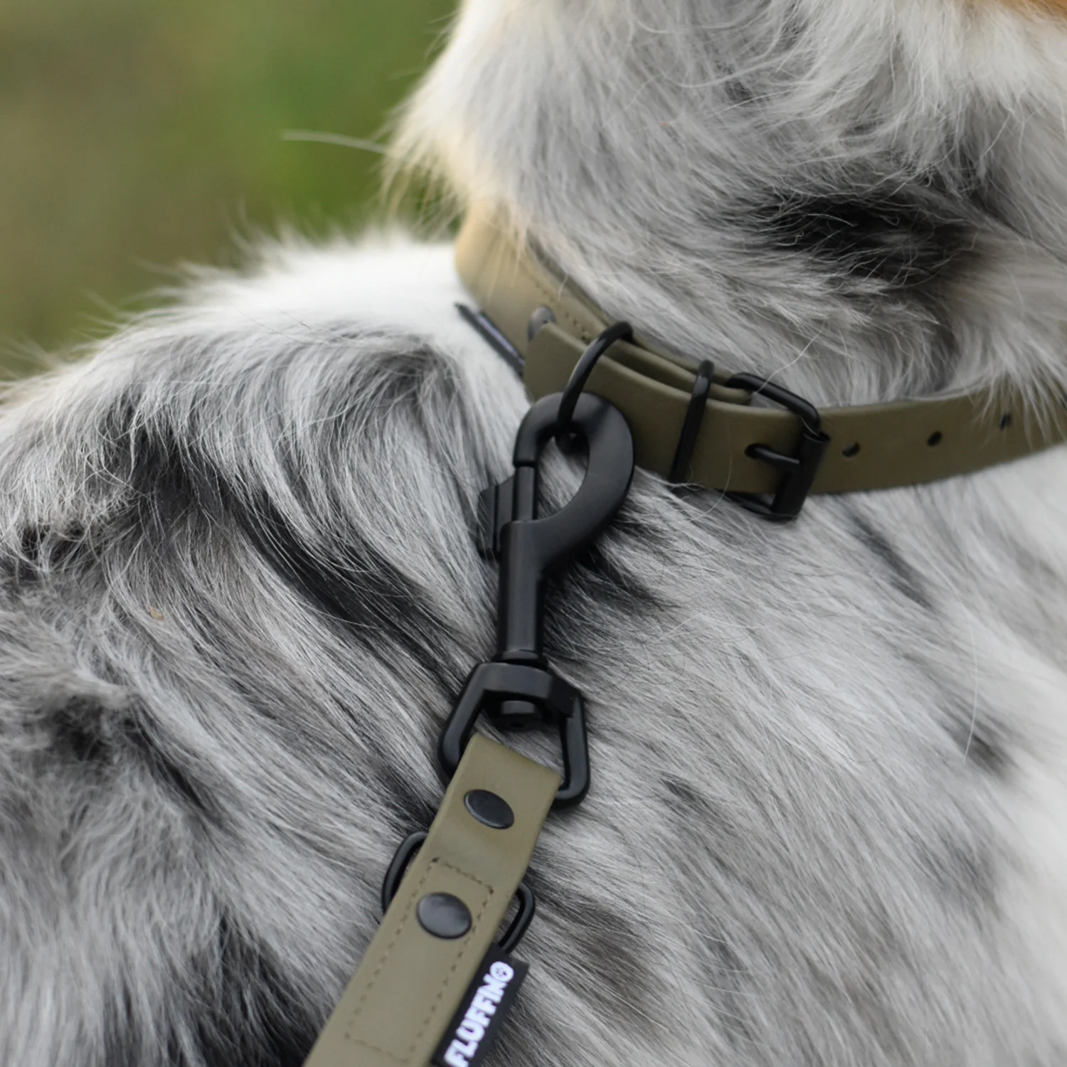 Hundehalsband aus BioThane - 5-Fach verstellbare - Größe M - Halsumfang 37 - 45 cm - Oliv - Image 6