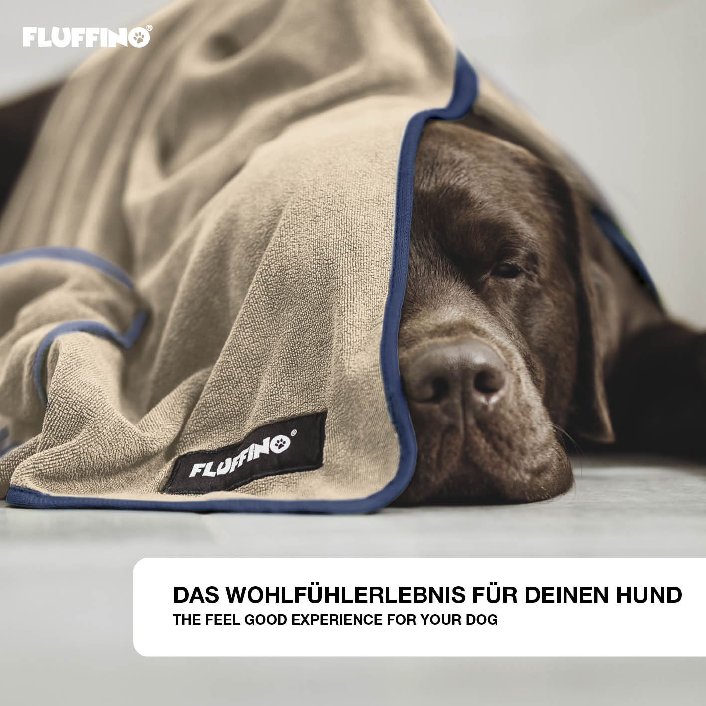 Hundehandtuch Mikrofaser – 2er-Pack - 120 x 70 cm - Beige & Blau - Image 5
