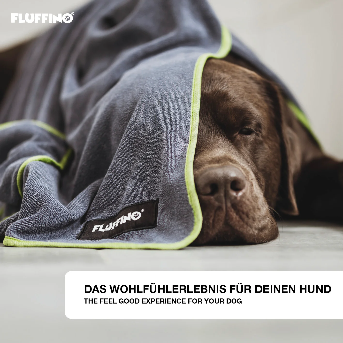 Hundehandtuch Mikrofaser – 2er-Pack - 120 x 70 cm - Grau & Grün - Image 6