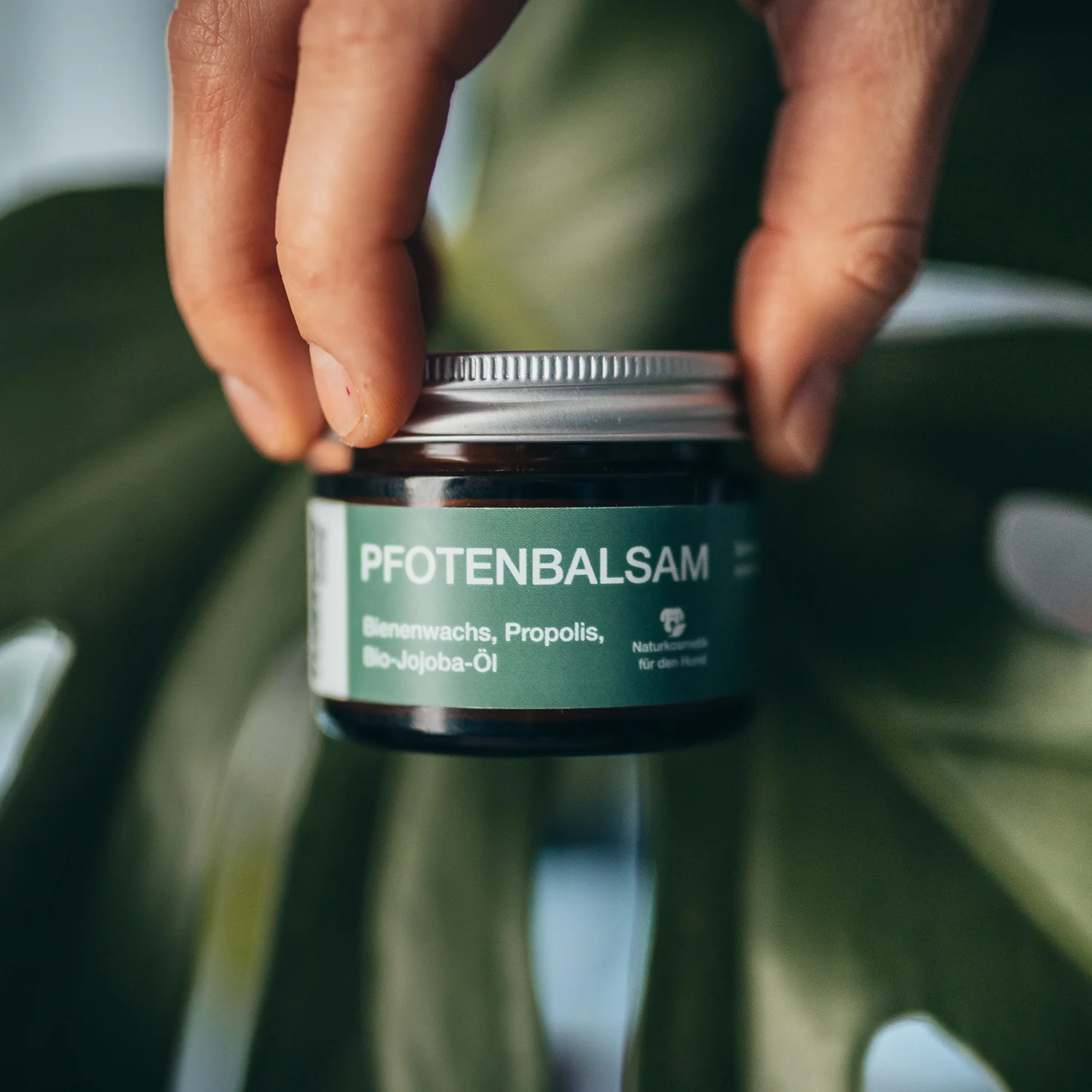 Pfotenbalsam - 50 ml - 100% natürlicher Pfotenschutz - Image 11