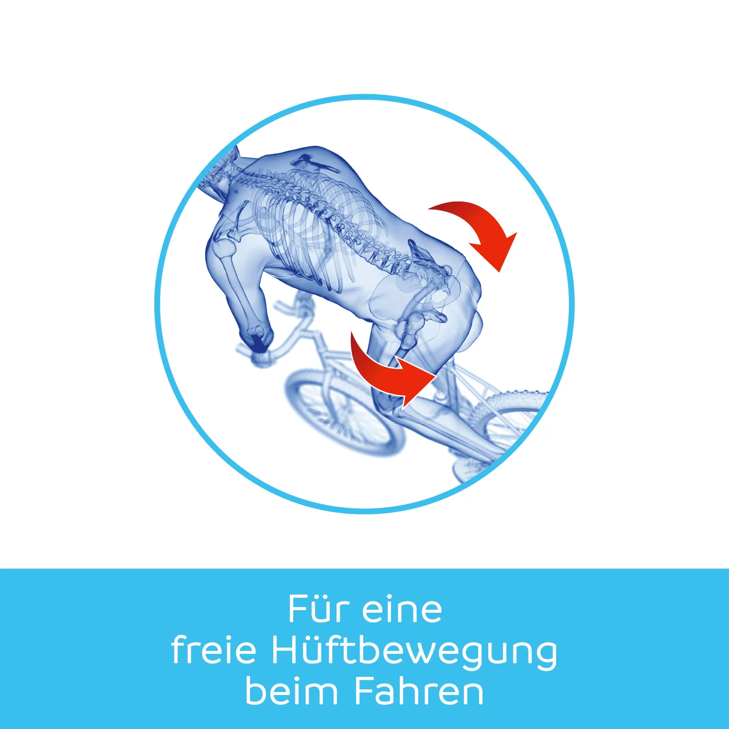 freibeik advanced - Das bewegliche Sattelgelenk 2.0 - Image 5