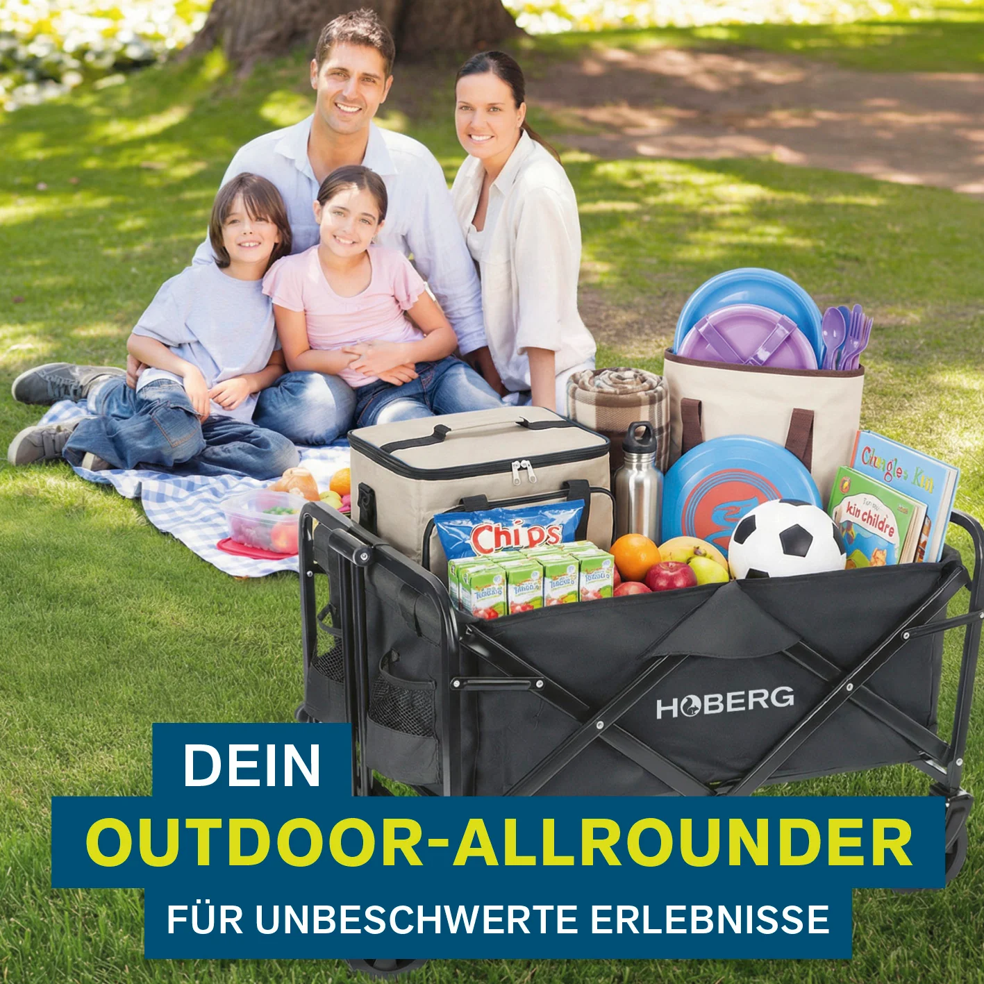 Klapp-Bollerwagen mit Bremsen - max. 80 kg - Image 8