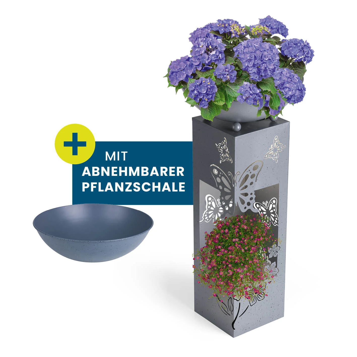 Vorschaubild 1