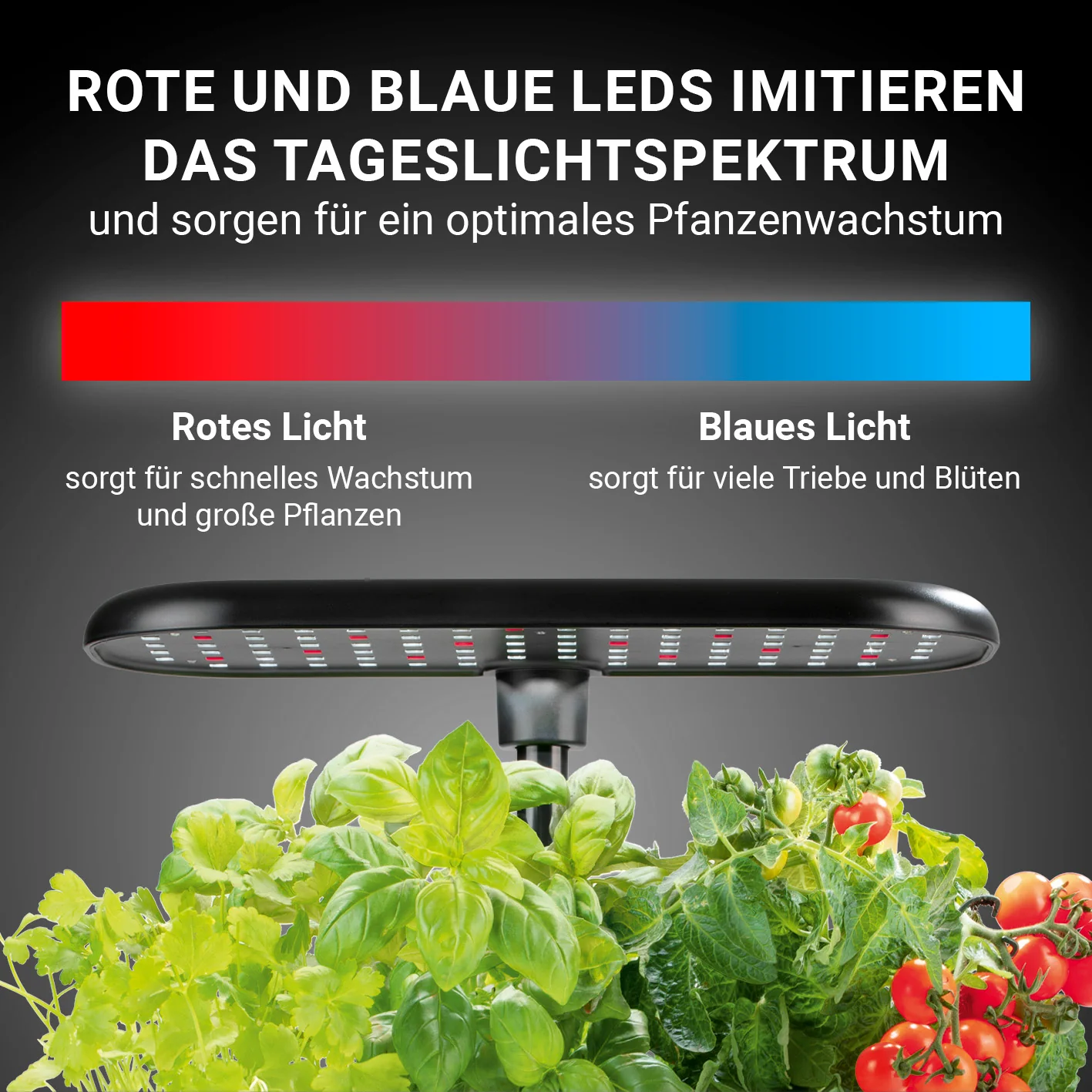 Hydroponische Pflanzenanzuchtstation mit Display + Ersatz-Set 56-tlg. - Image 4