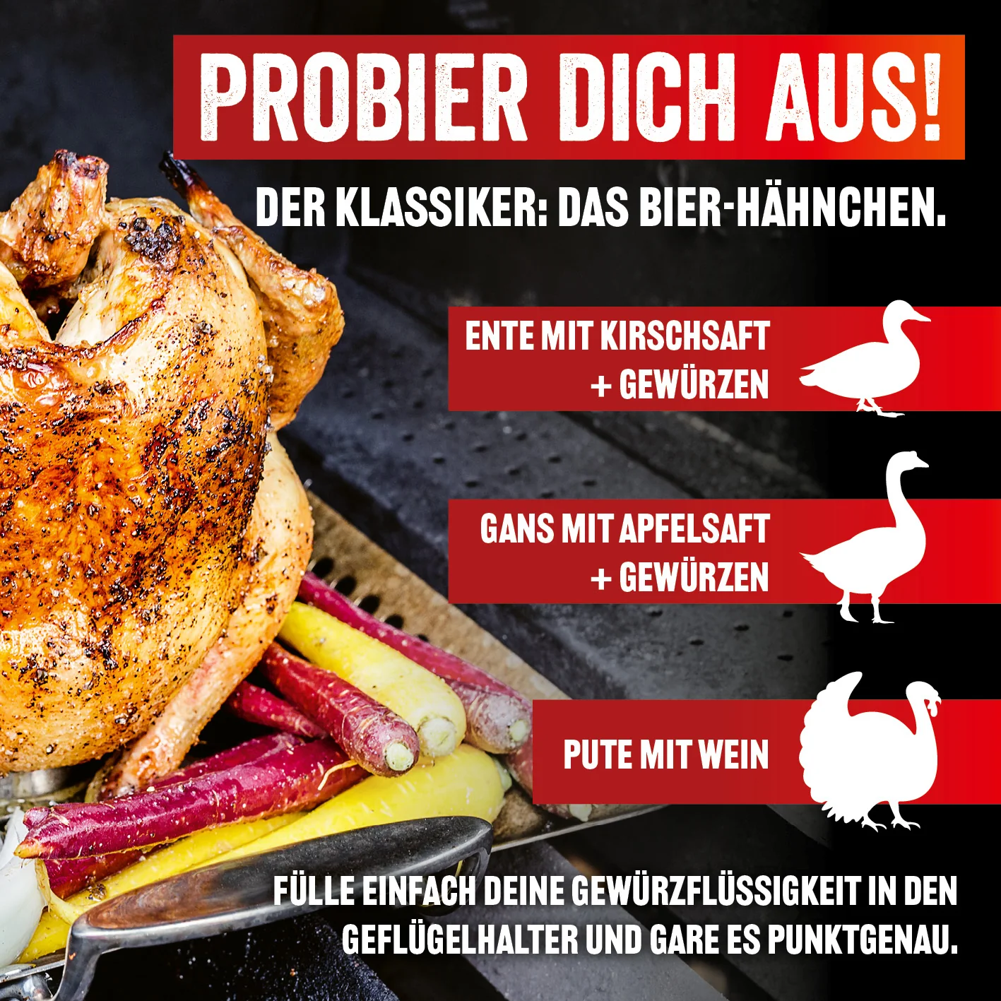 Selection Hähnchenhalter - Image 3