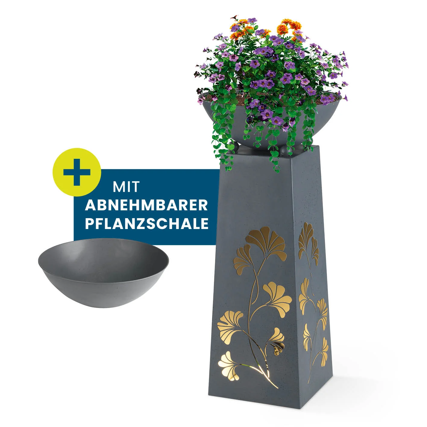 Vorschaubild 1