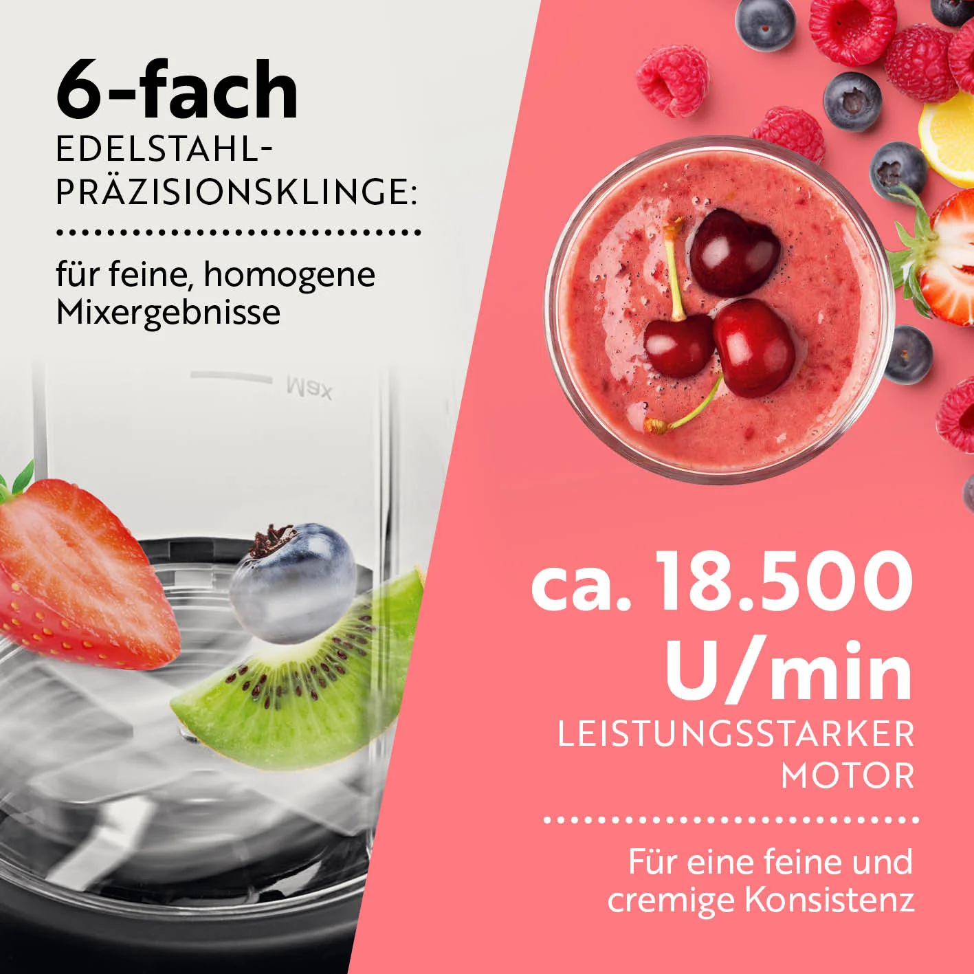 Nutrition Mixer Pro 1.000 mit Zubehörset L - Anthrazit/Schwarz - Image 4