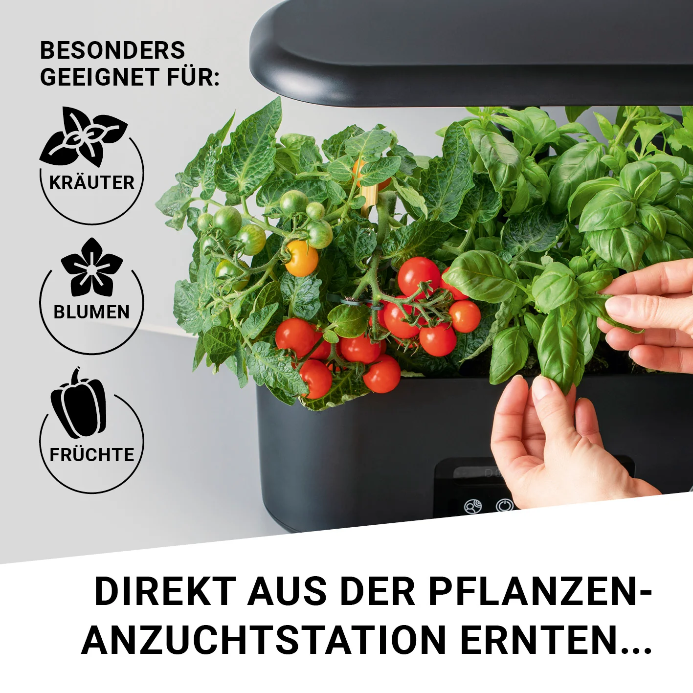 Pflanzenanzuchtstation Ersatzset für 28 Pflanzen - Image 5