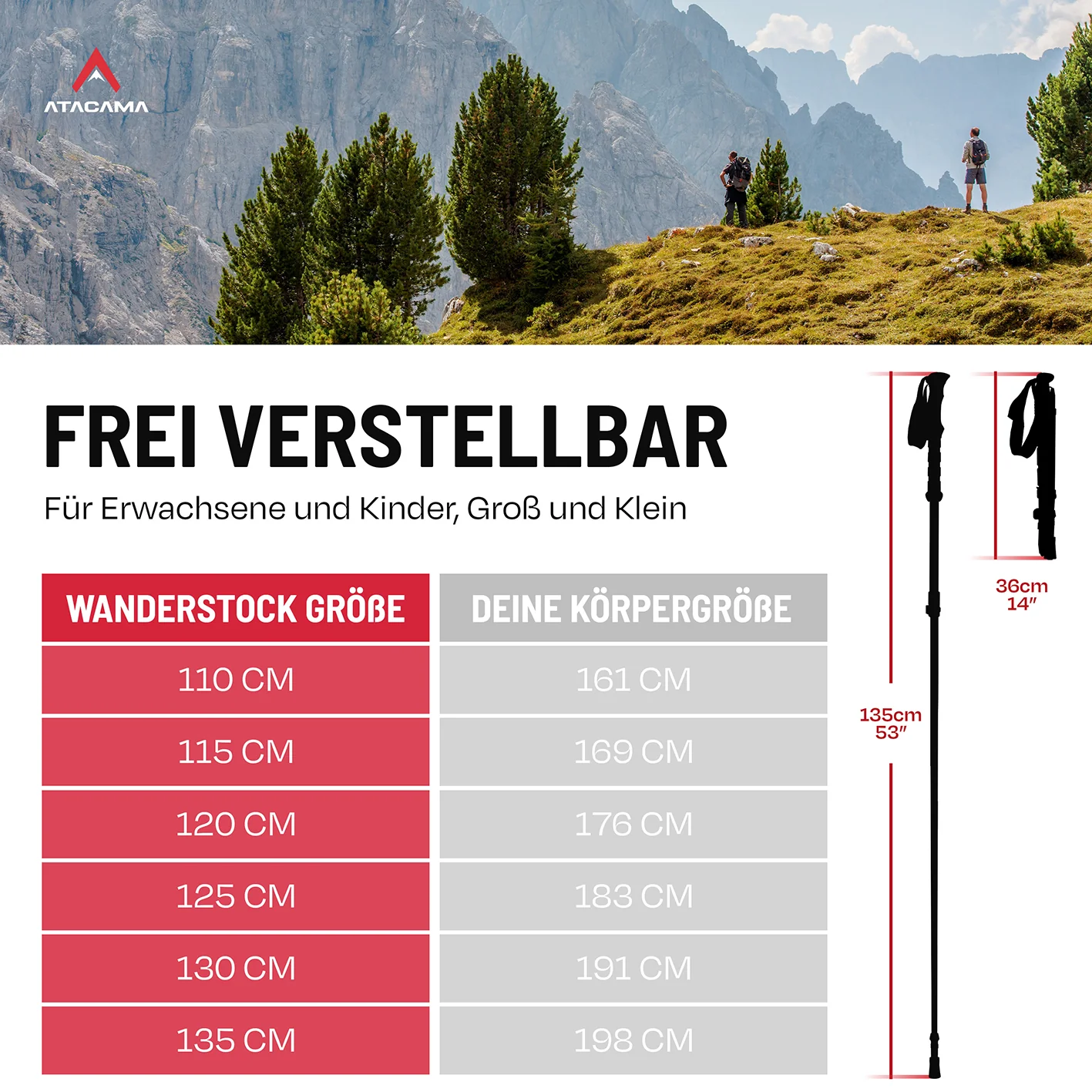 Teleskop Wanderstöcke - faltbar - CarbonMix - 63 cm /135 cm - Image 3