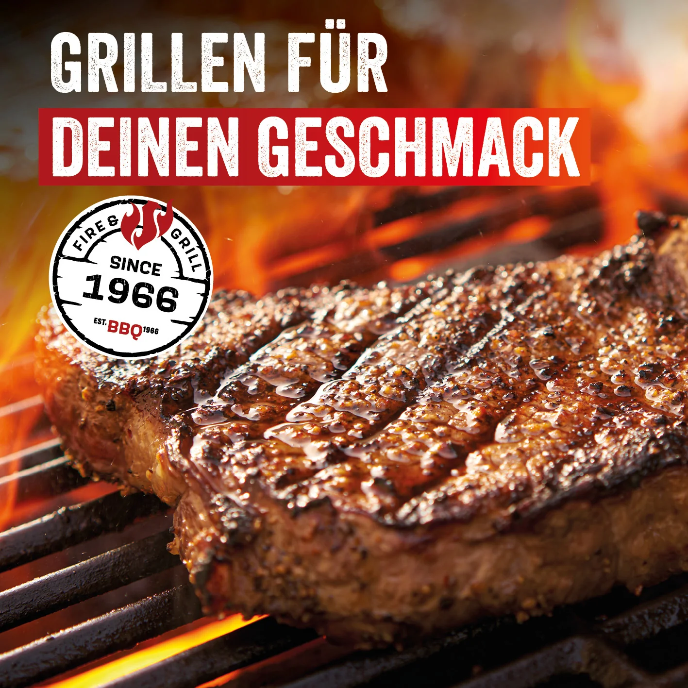 Triton 3.1 maxX Gasgrill mit Infrarotseitenbrenner - Image 7