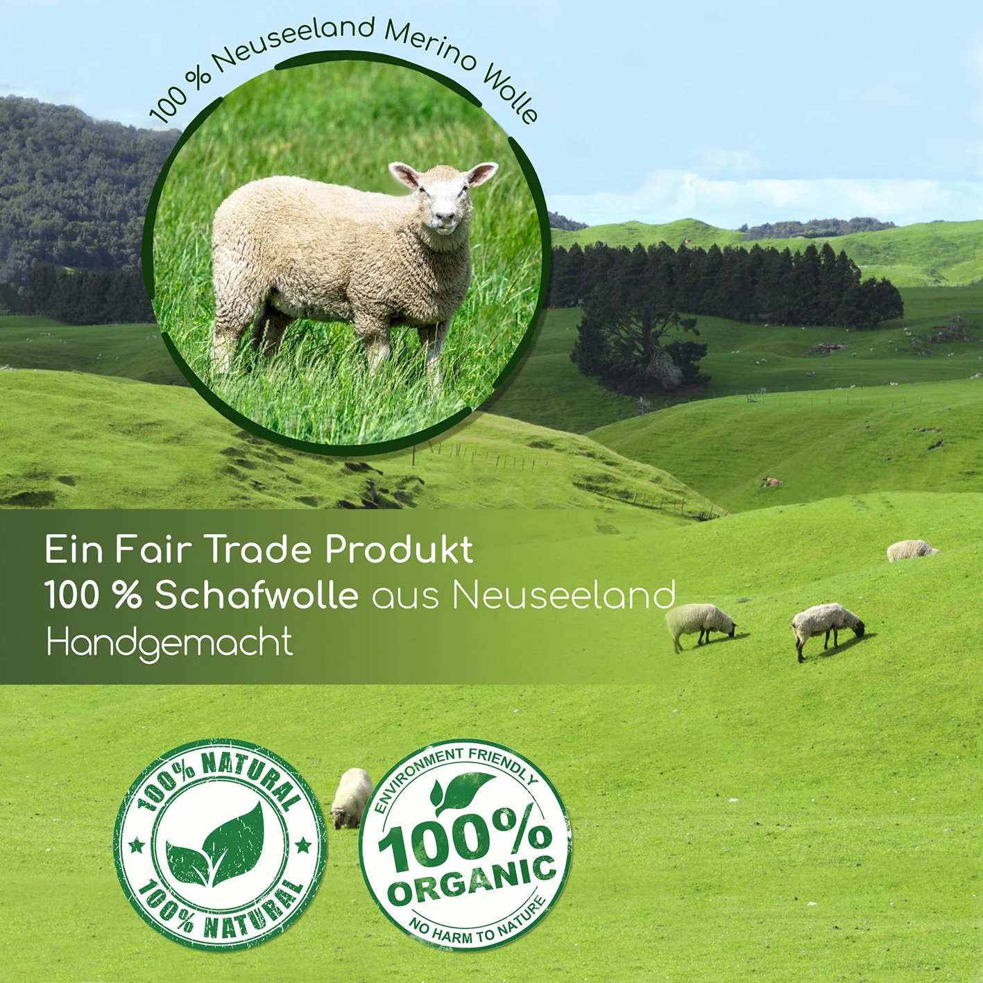 Trocknerbälle für Wäschetrockner - 6er-Set - Schafwolle - Image 7