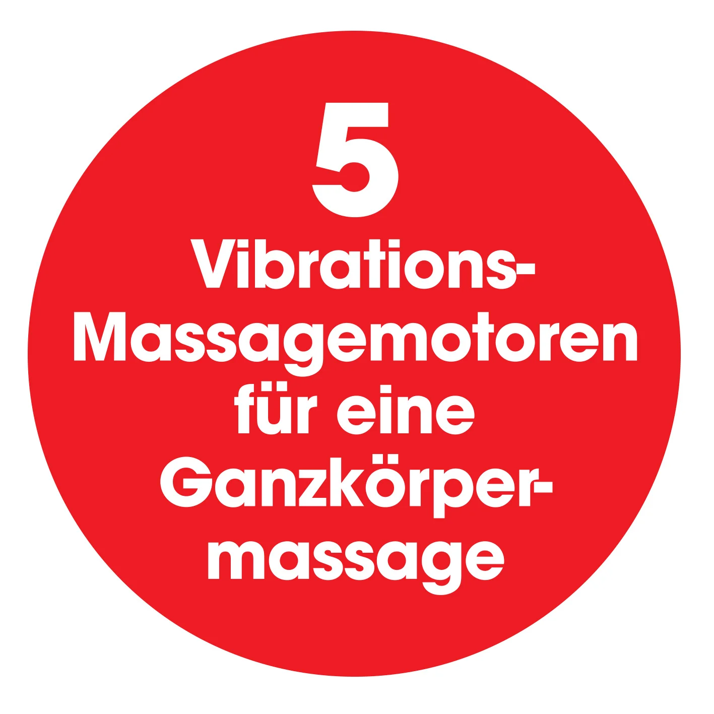 Massagematte 5-Zonen 12V schwarz - Image 8