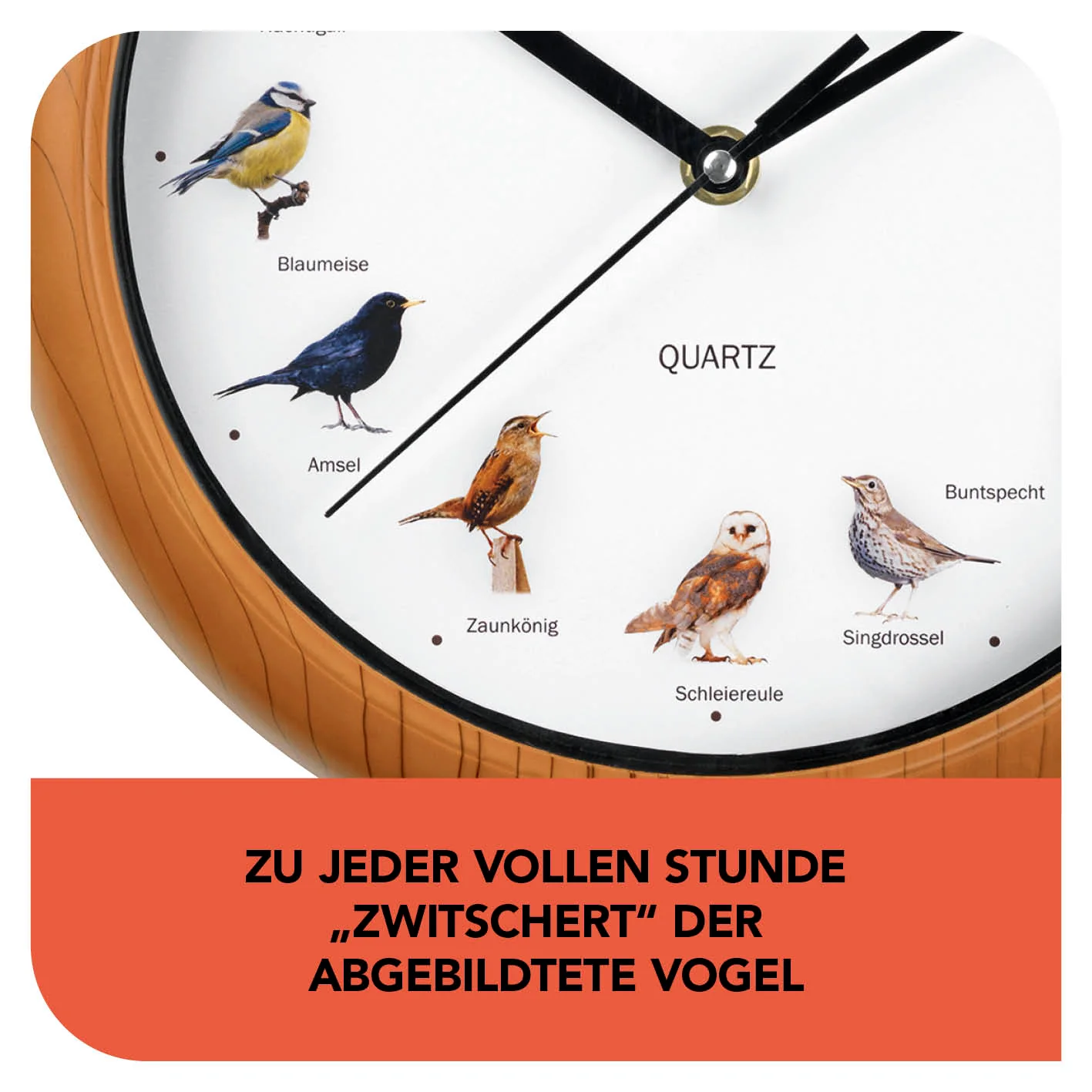 Wanduhr mit Vogelstimmen - 25cm - Image 3