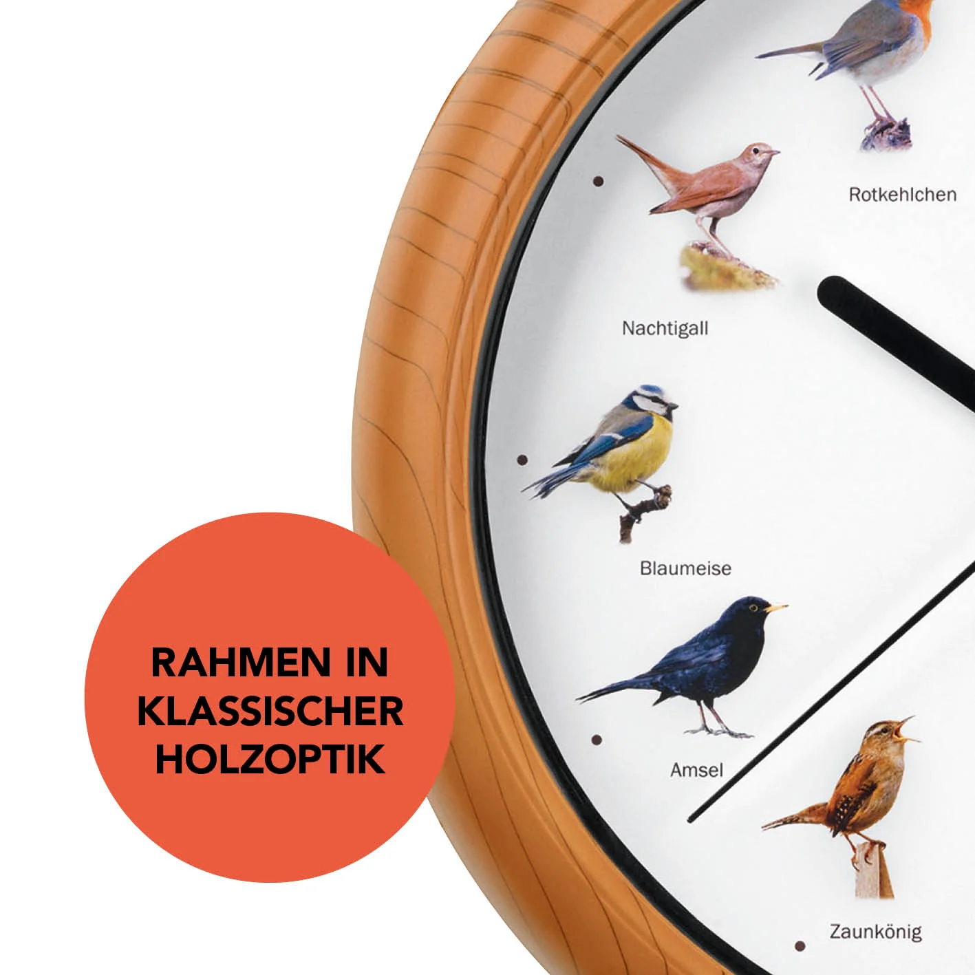 Wanduhr mit Vogelstimmen - 25cm - Image 4