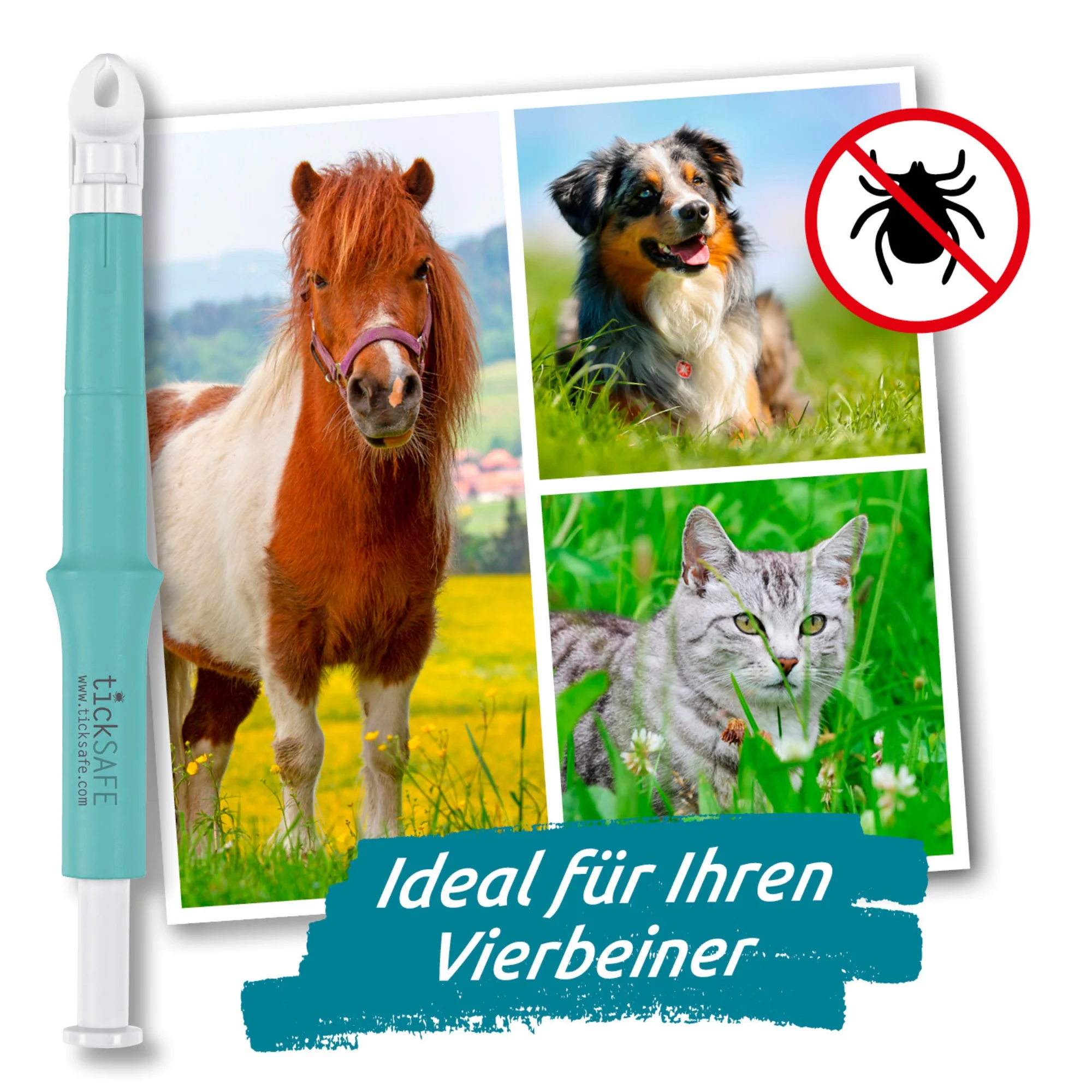Zeckengreifer für Mensch & Tier mit rotierendem Greiferkopf - 2er-Set - Image 4