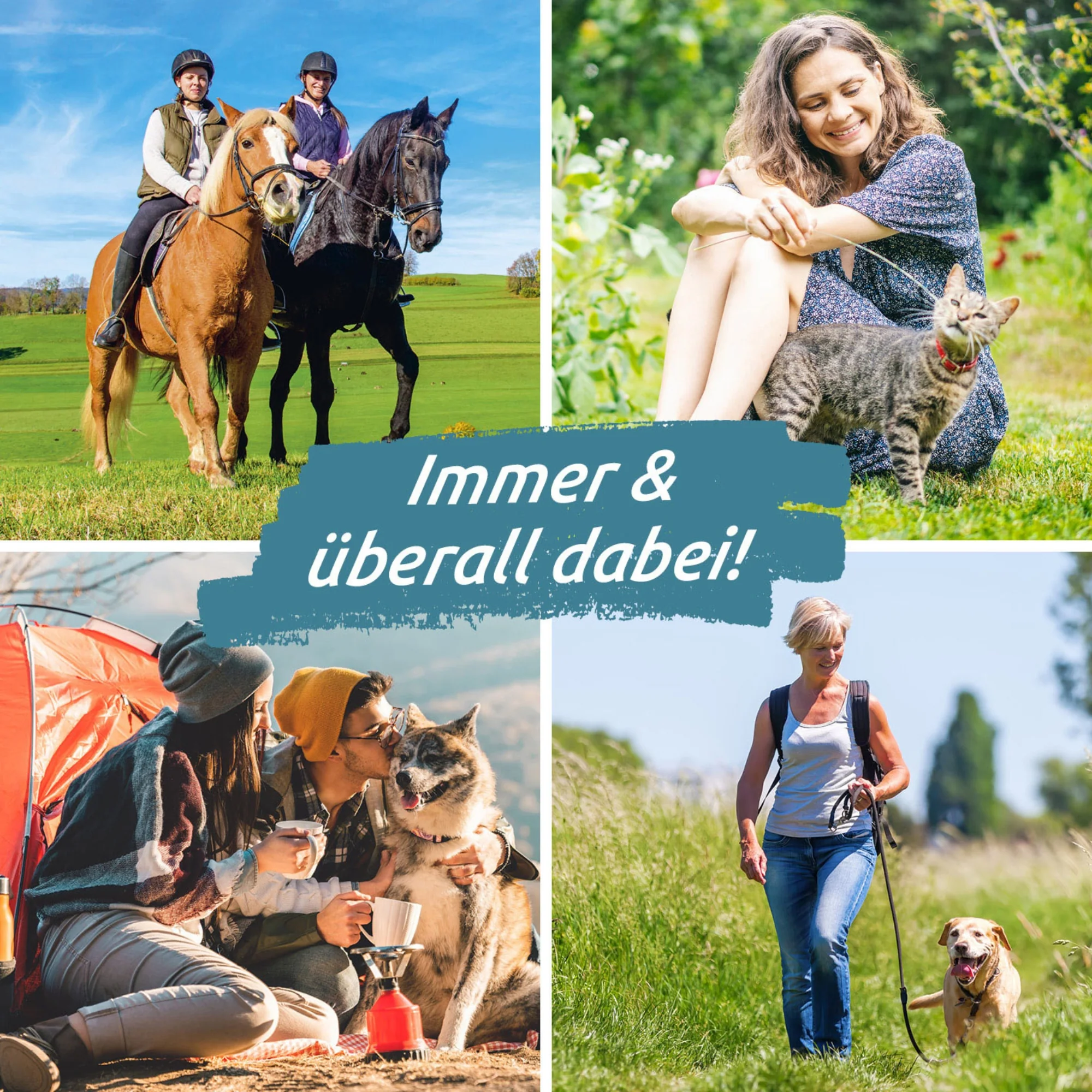 Zeckengreifer für Tiere mit rotierendem Greiferkopf - 2er-Set - Image 5